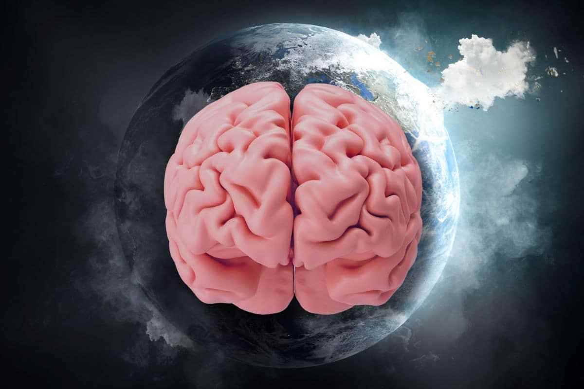 Gli effetti nocivi del cambiamento climatico sul cervello